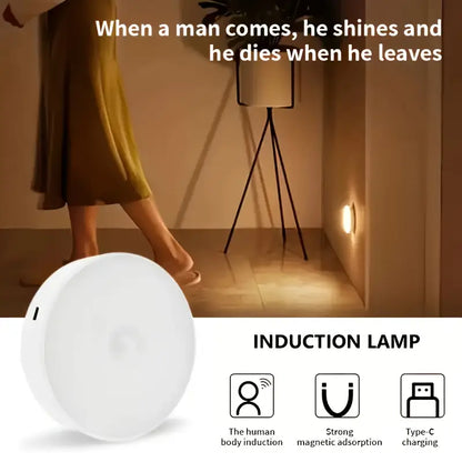 Motion Sensor Light
